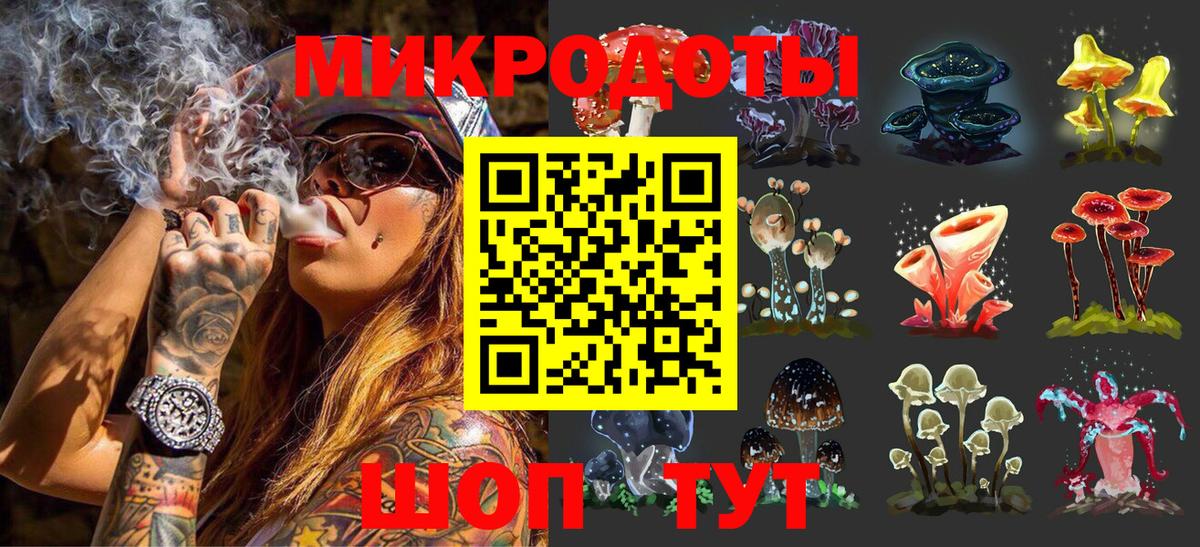 Архангельск  Псилоцибиновые грибы Psilocybe  Вход с VPN 
