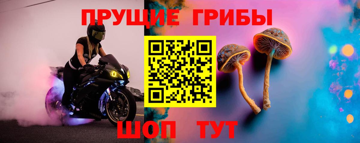 Псилоцибиновые грибы MAGIC MUSHROOMS Архангельск